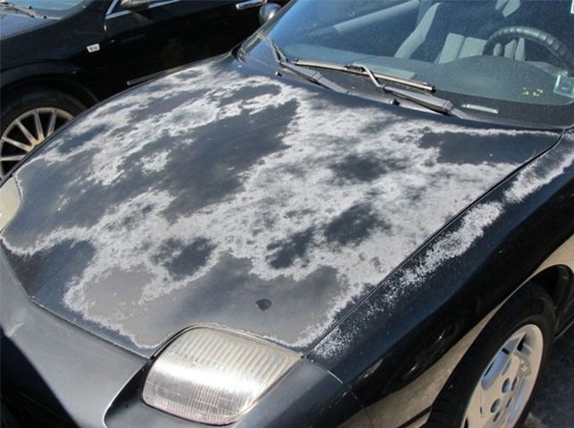 Vehicle surface showing signs of fading due to sun exposure